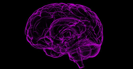 Purple-colored brain on black backrground