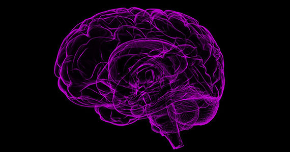Purple-colored brain on black backrground