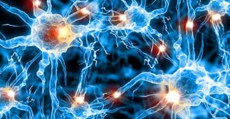 artist rendering of brain neurons