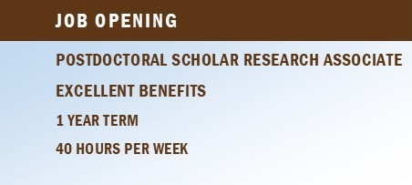 PostDoc-ad6
